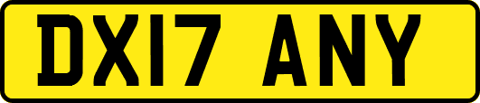 DX17ANY