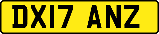 DX17ANZ