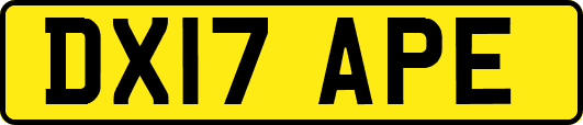 DX17APE