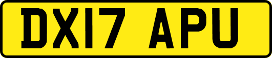 DX17APU
