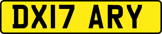 DX17ARY