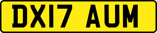 DX17AUM