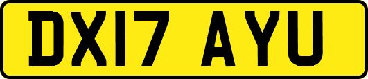 DX17AYU