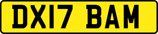 DX17BAM