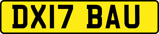 DX17BAU