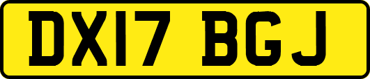 DX17BGJ