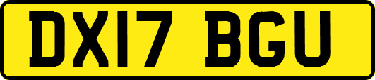 DX17BGU