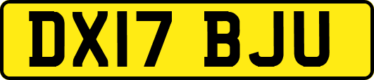 DX17BJU