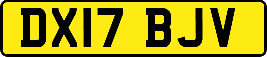 DX17BJV