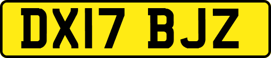 DX17BJZ