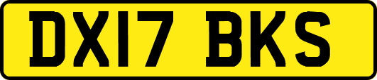 DX17BKS