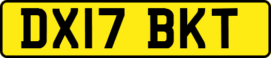 DX17BKT