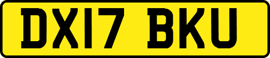 DX17BKU