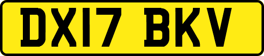 DX17BKV