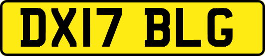 DX17BLG