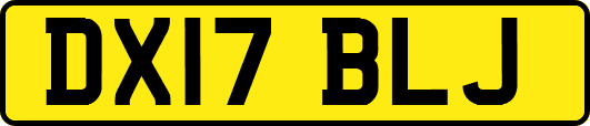 DX17BLJ