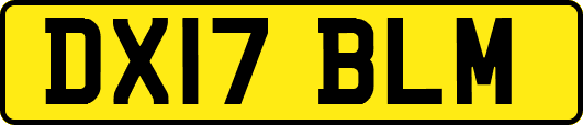 DX17BLM