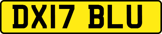 DX17BLU
