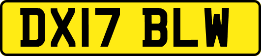 DX17BLW