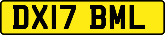 DX17BML