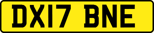 DX17BNE