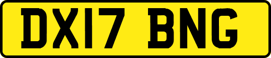 DX17BNG