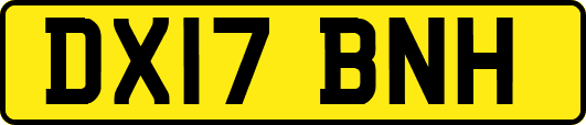 DX17BNH