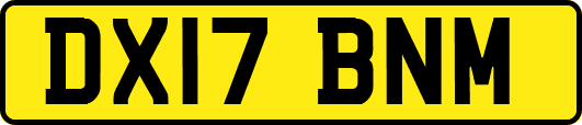 DX17BNM