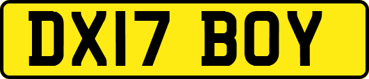 DX17BOY