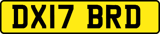 DX17BRD