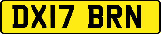 DX17BRN