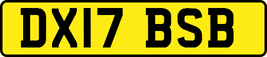 DX17BSB