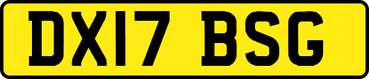 DX17BSG