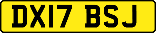 DX17BSJ