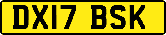 DX17BSK