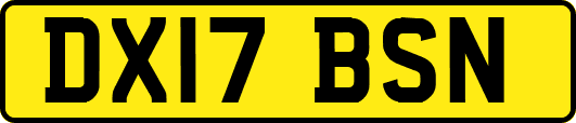 DX17BSN