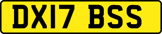 DX17BSS