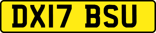 DX17BSU