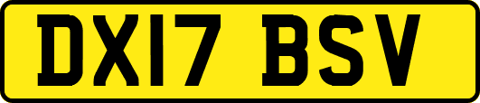 DX17BSV