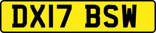 DX17BSW