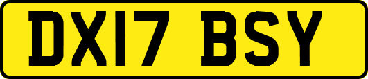 DX17BSY