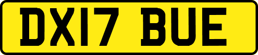 DX17BUE