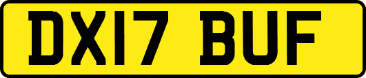 DX17BUF
