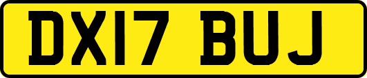 DX17BUJ