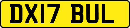 DX17BUL