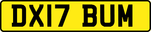 DX17BUM