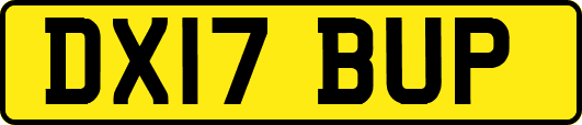 DX17BUP