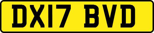 DX17BVD