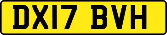 DX17BVH