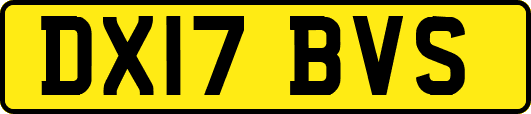 DX17BVS